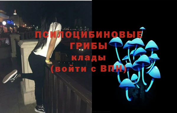 МДПВ Белокуриха